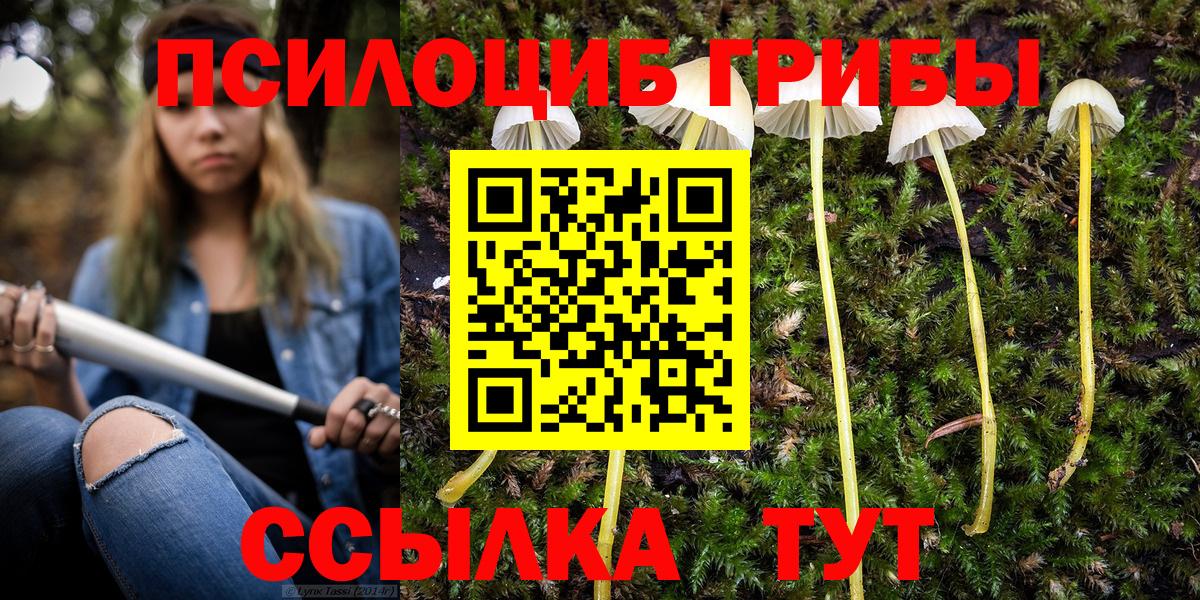Галлюциногенные грибы мухоморы Луховицы